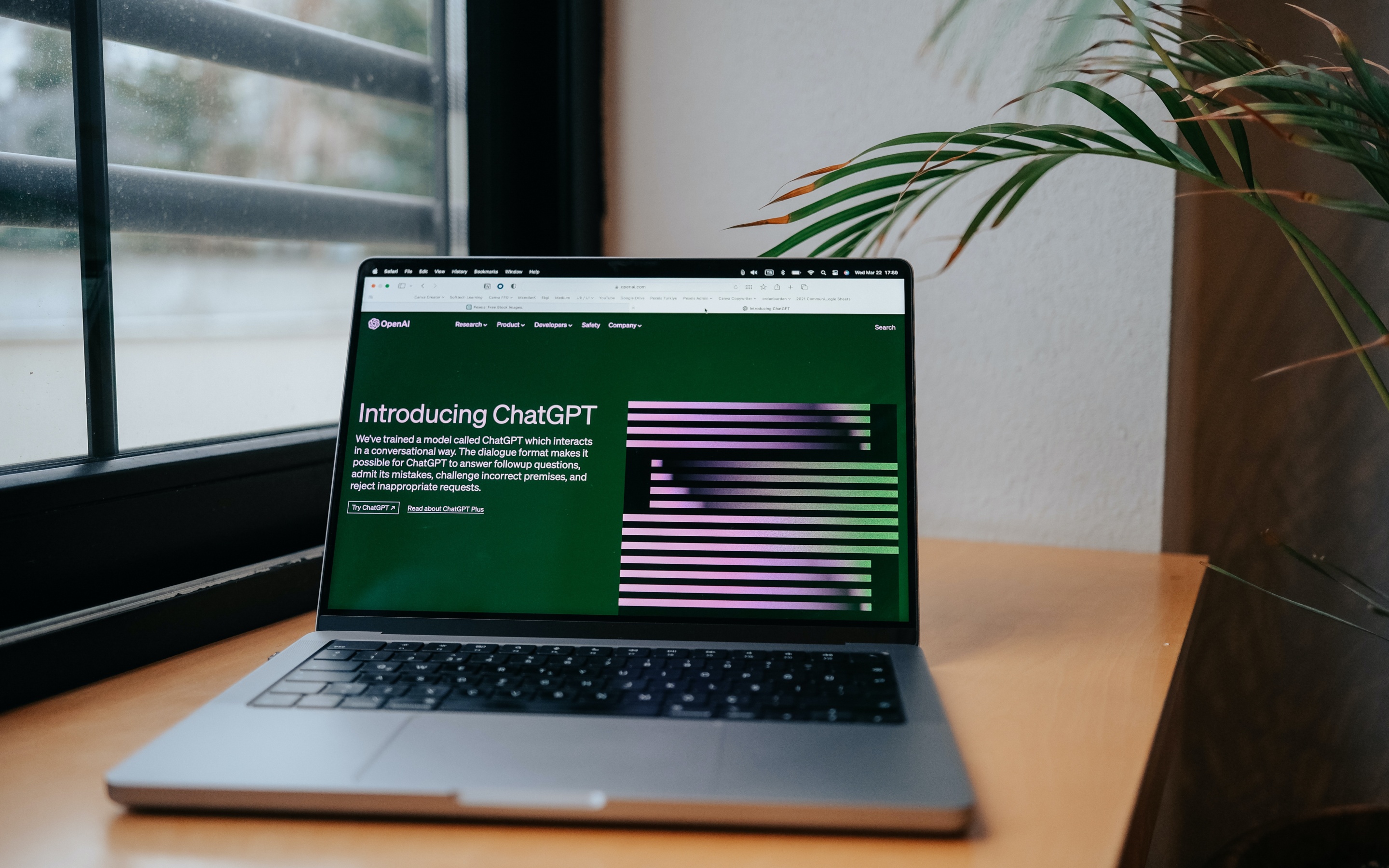 san ramon website designer